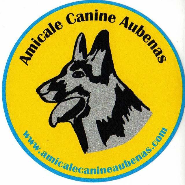 logo aca