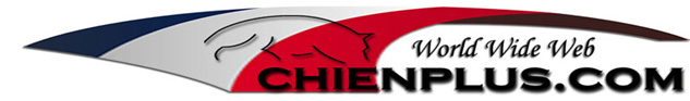 logo chien plus