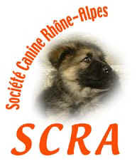 Logo SCRA